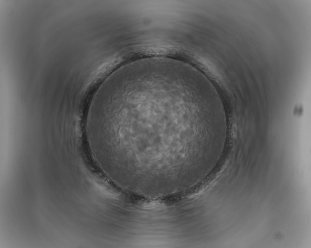 X0000091080258200708131303