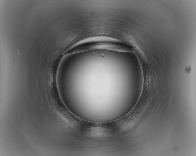 X0000091080259200708131303