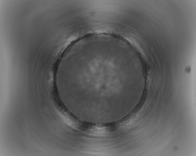 X0000091080260200708131303