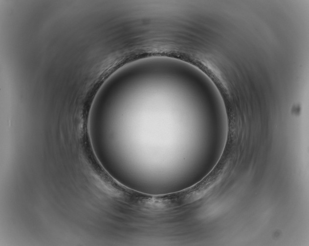 X0000091080261200708131304