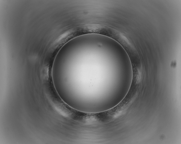 X0000091080262200708131304