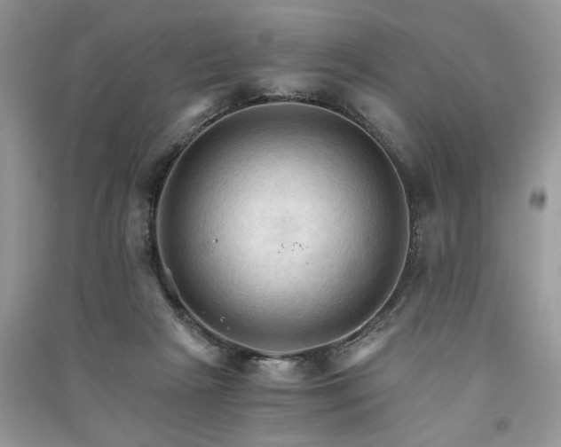 X0000091080265200708131304