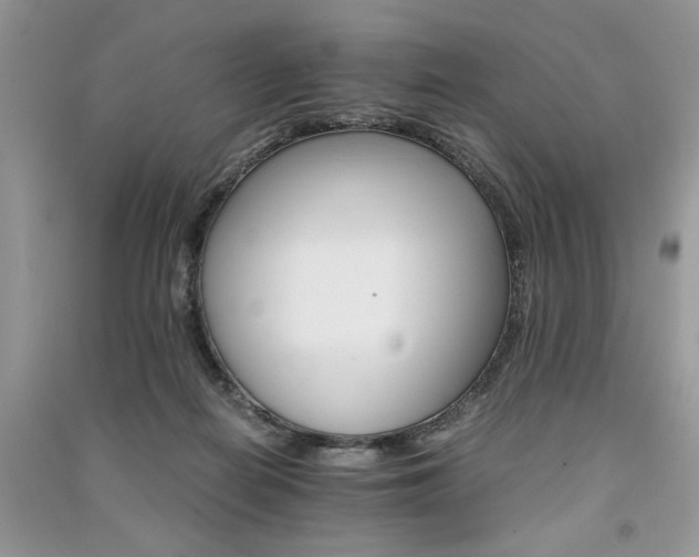 X0000091080266200708131304