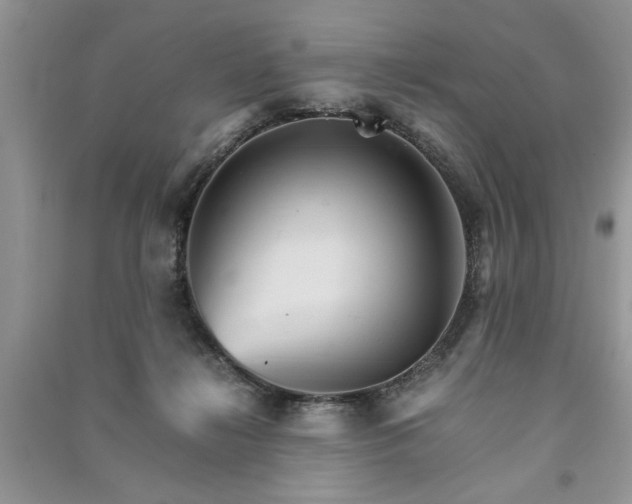 X0000091080268200708131304