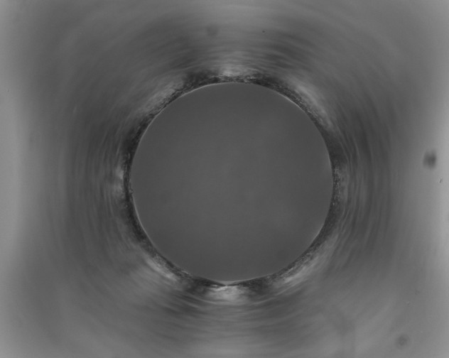 X0000091080269200708131304