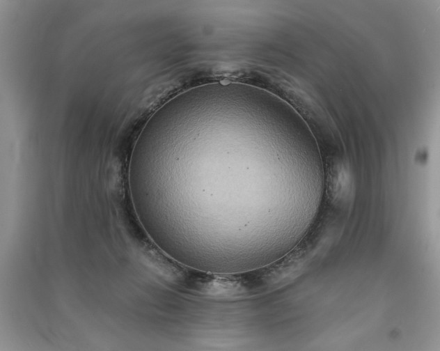 X0000091080270200708131304