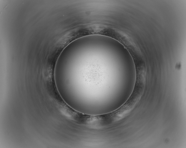 X0000091080274200708131304