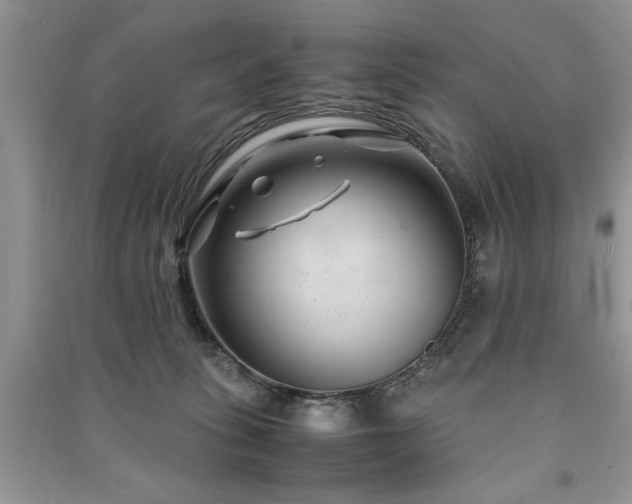 X0000091080275200708131304