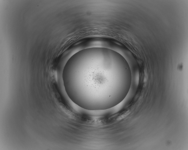 X0000091080276200708131304