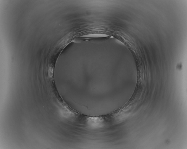 X0000091080281200708131304