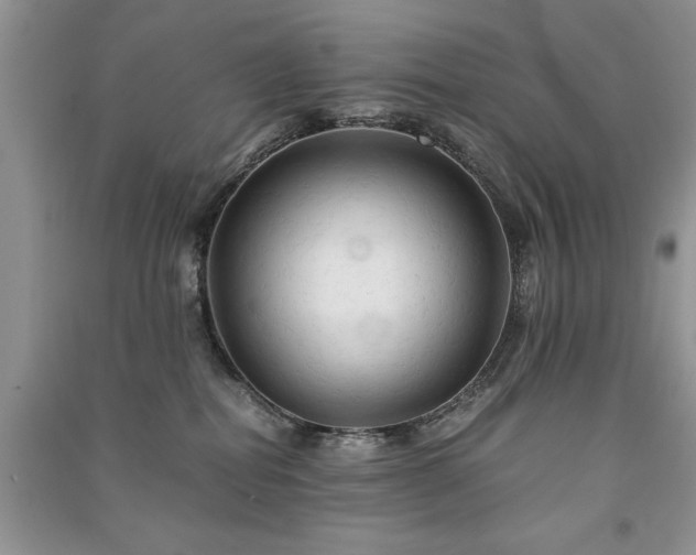 X0000091080282200708131304