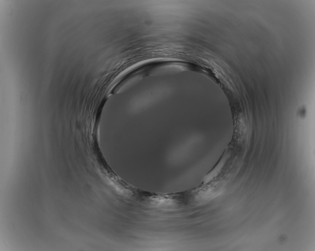 X0000091080284200708131304