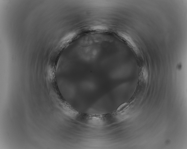 X0000091080285200708131304