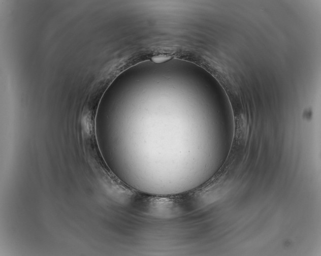 X0000091080287200708131304