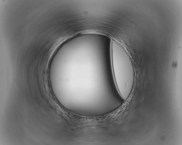 X0000091080289200708131303