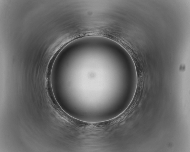 X0000091080290200708131303