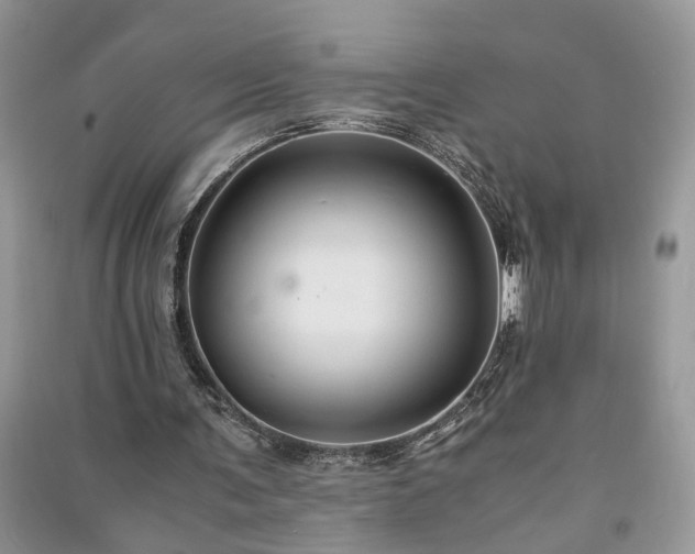 X0000091080291200708131303