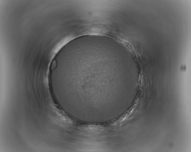 X0000091080292200708131303