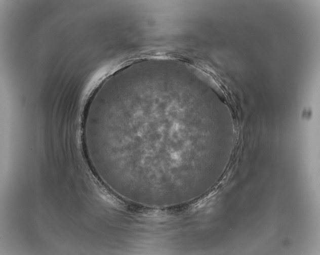 X0000091080293200708131303