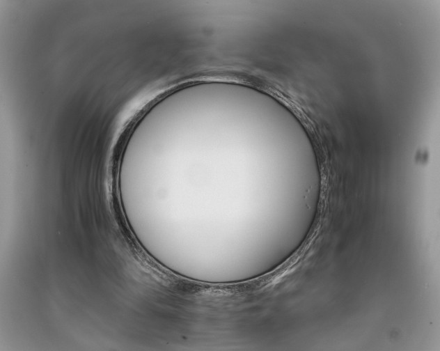 X0000091080294200708131303