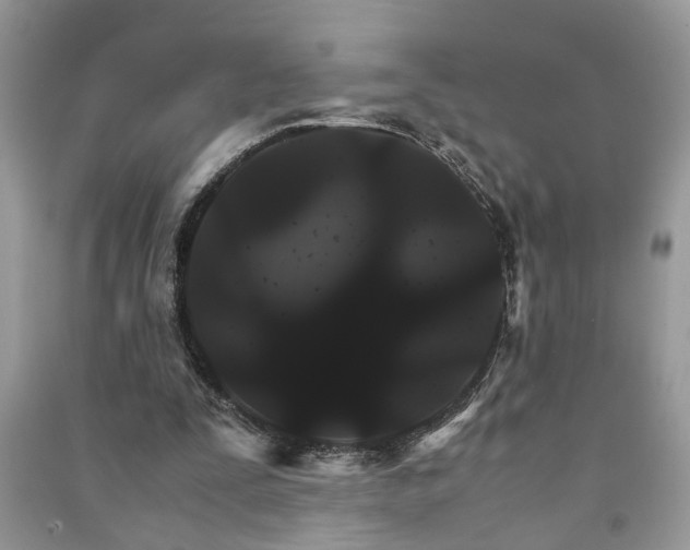 X0000091080295200708131303