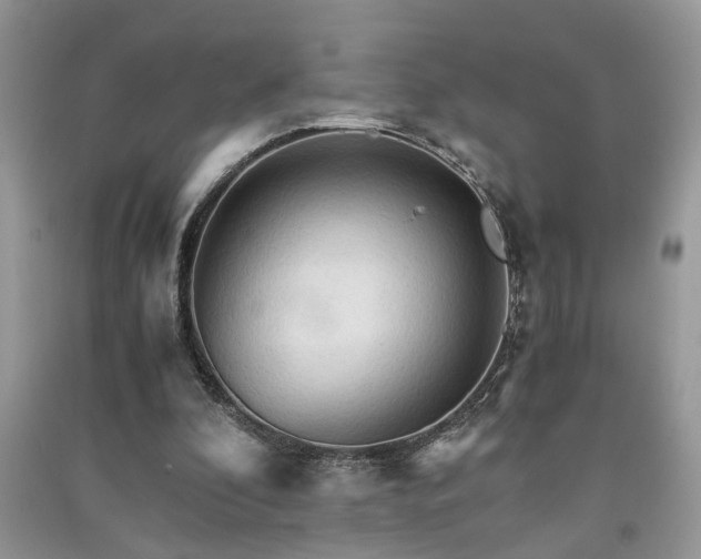 X0000091080296200708131303