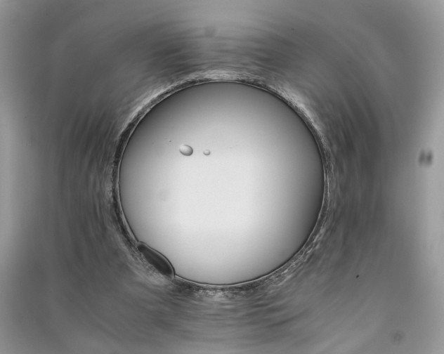 X0000091080297200708131303