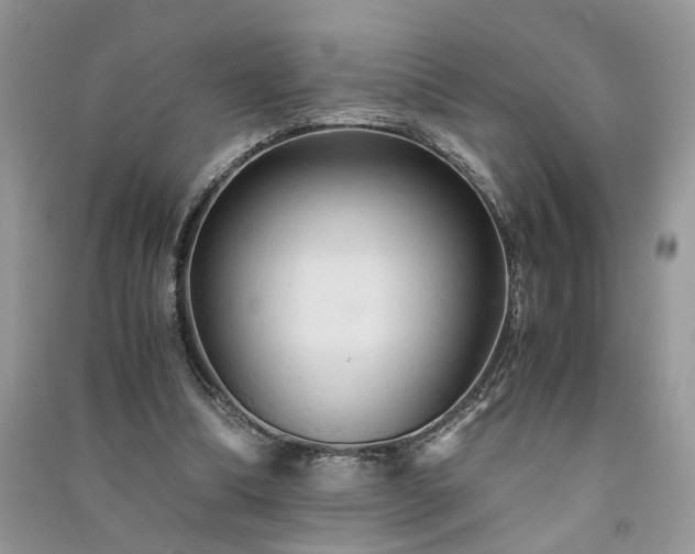 X0000091080298200708131303