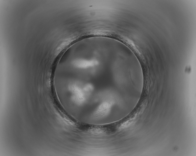 X0000091080299200708131303