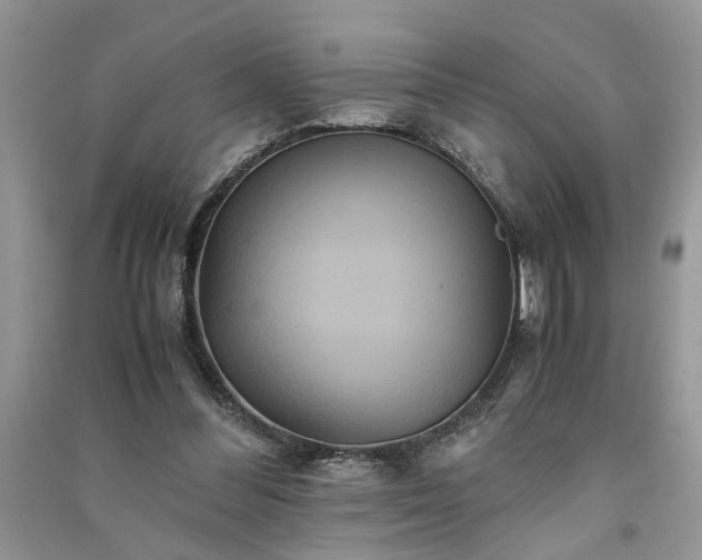 X0000091080300200708131303