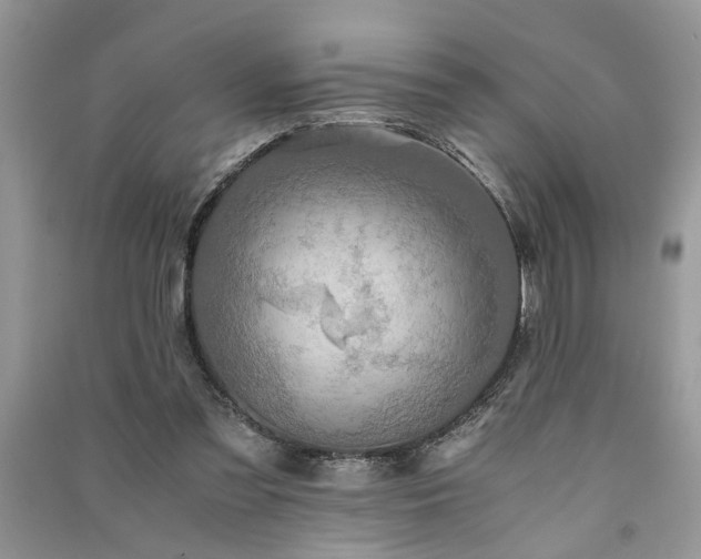 X0000091080301200708131303