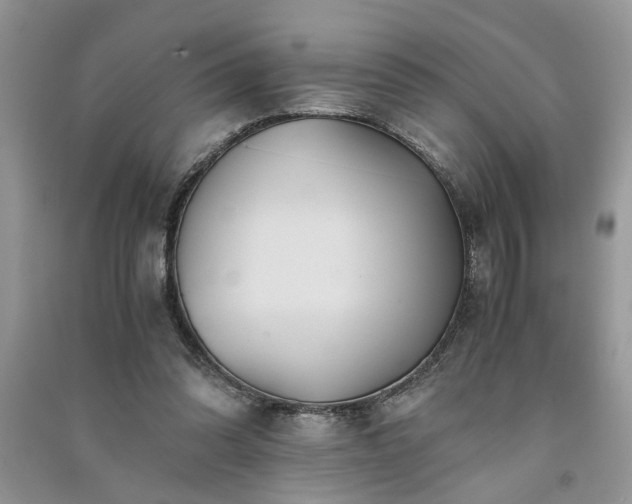 X0000091080302200708131303