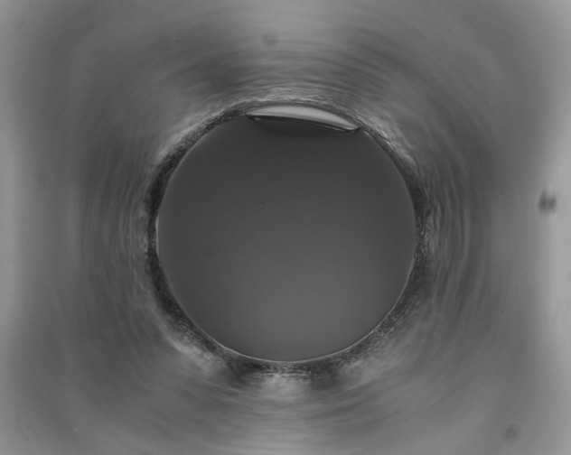 X0000091080303200708131303