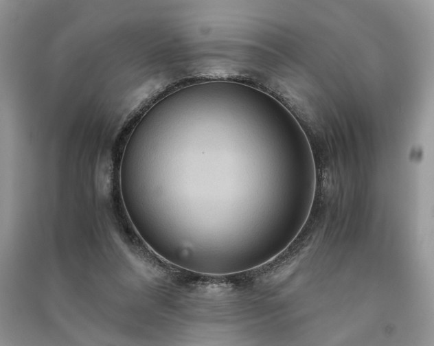 X0000091080304200708131303