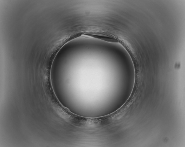 X0000091080305200708131303