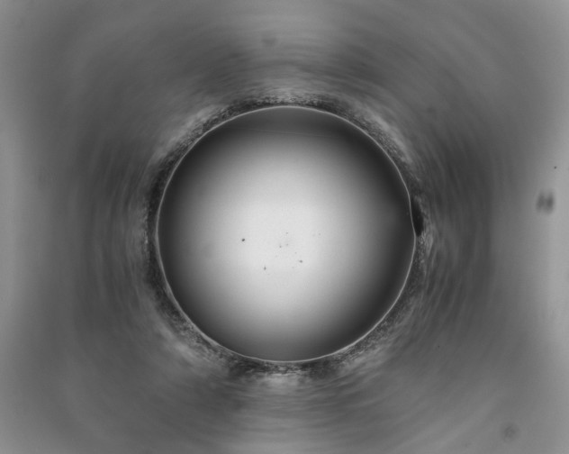 X0000091080306200708131303