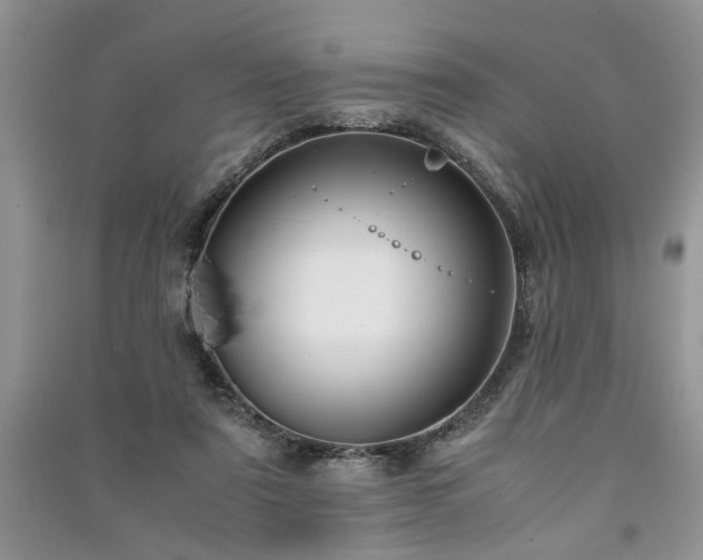 X0000091080307200708131303