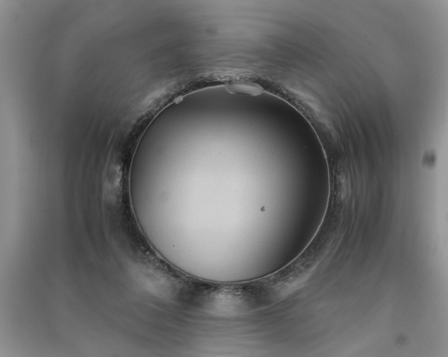 X0000091080308200708131303