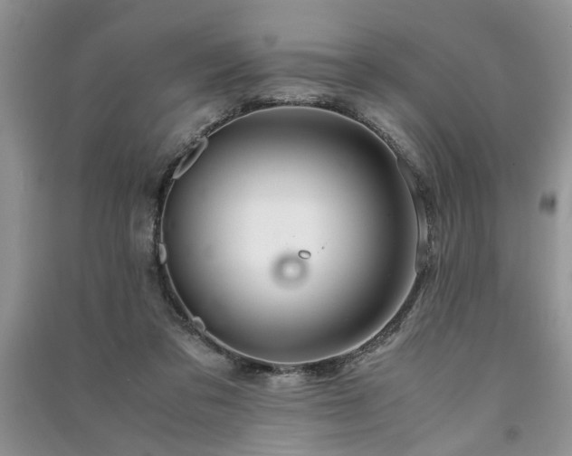 X0000091080309200708131303