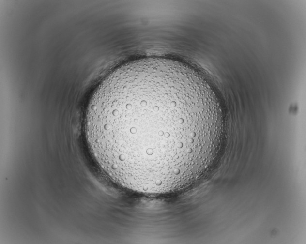 X0000091080311200708131303