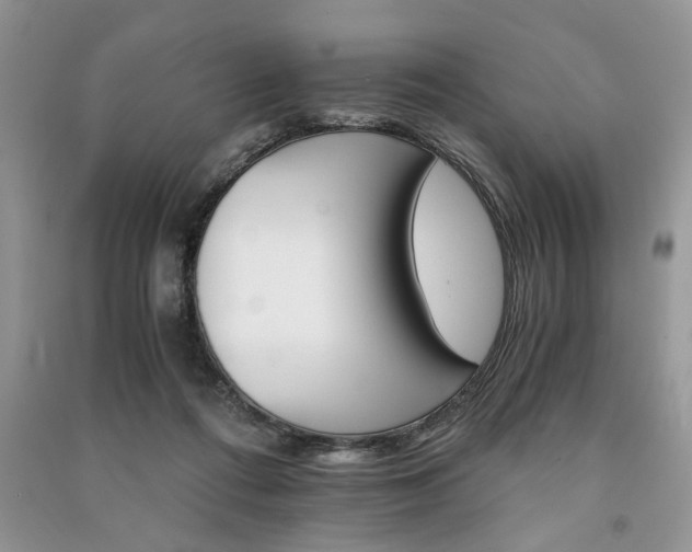 X0000091080312200708131303