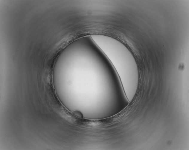 X0000091080313200708131303