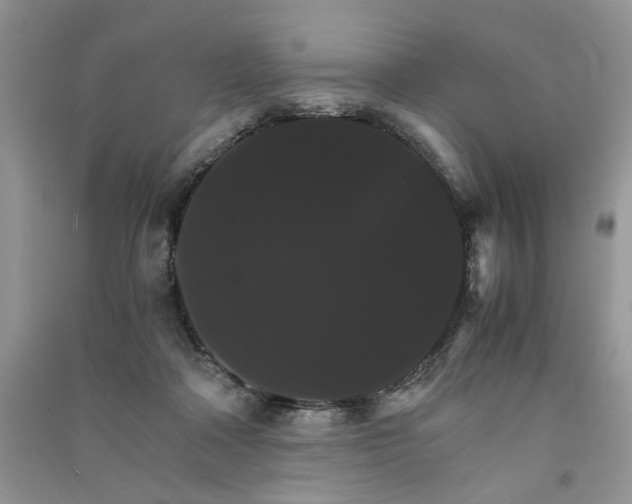 X0000091080314200708131303