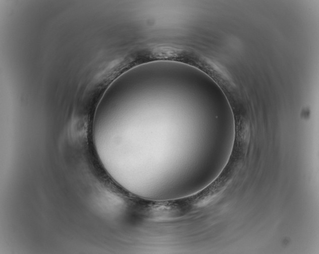 X0000091080315200708131303