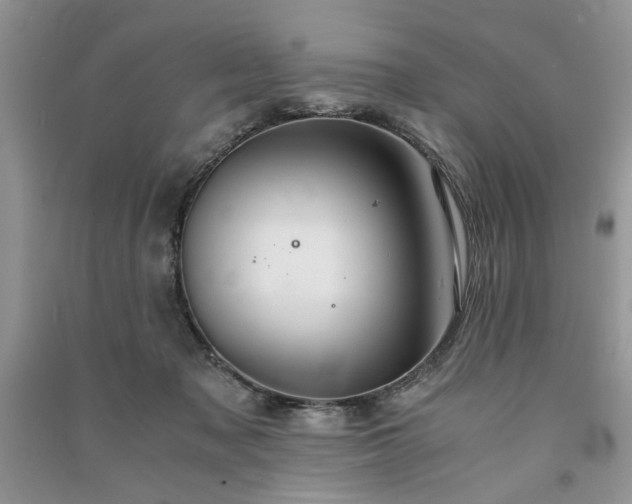 X0000091080317200708131303