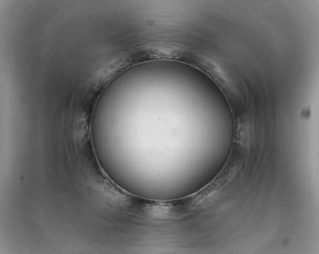 X0000091080318200708131303