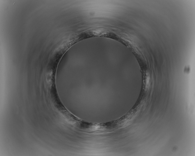 X0000091080319200708131303