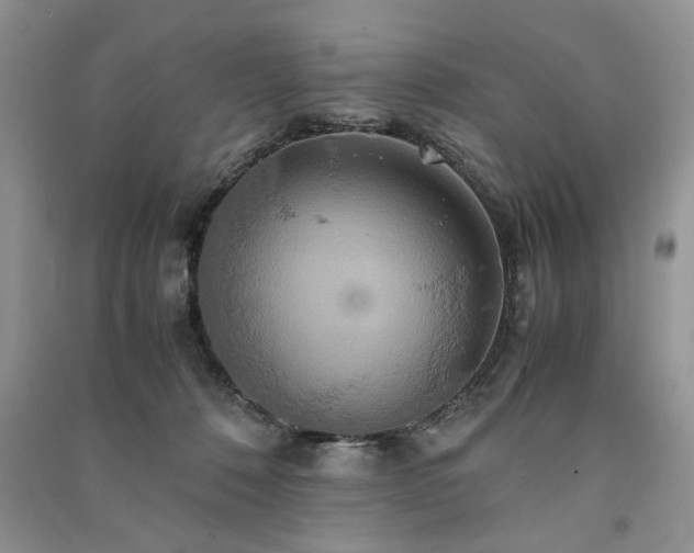 X0000091080320200708131303