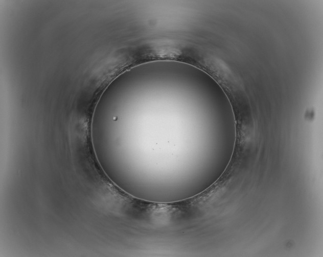 X0000091080321200708131303