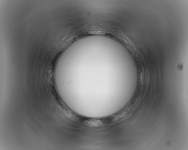 X0000091080322200708131303